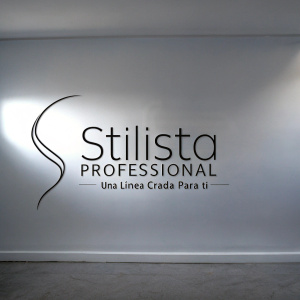 Stilista Professional logo, modern and stylish design. Bold black text 'Stilista Professional' and Spanish 'Una línea creada para ti' in elegant font. Distinctive flowing graphic on left side. Set against white backdrop, primarily black color scheme.