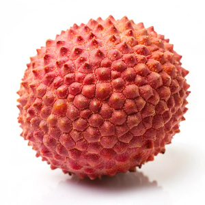 create a High Quality: a fresh and single lychee on white background  
 

