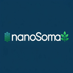 Modern logo design featuring the brand name NanoSoma. The text is sleek and contemporary, with green accents. Background: solid deep blue