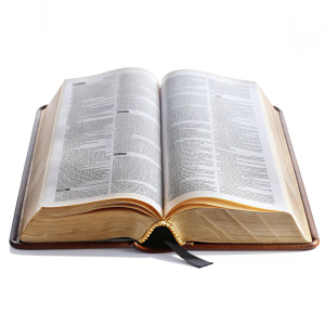  holy bible opened book png isolated on white background


 