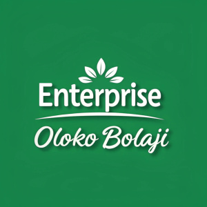 A bold logo design for Oloko Bolaji. The name 'Enterprise' in sleek, sans-serif font on a vibrant green backdrop. Below it, the brand name 'Oloko Bolaji' in a stylish script.