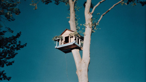 tree house