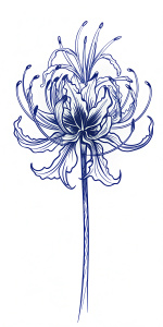 realistic spider lily, outstanding vector drawing technique, graphite outline, ultra detailed