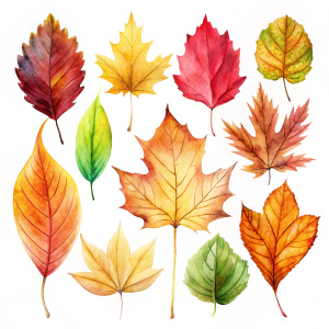 Set of artistic watercolor style autumn leaves isolated on white ...