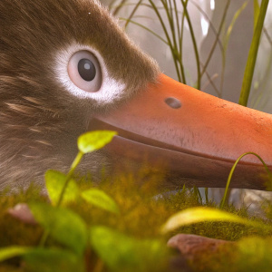 Close-up of Perry the Platypus. Animated film scene, focusing on beak and eye, detailed textures and vivid colors