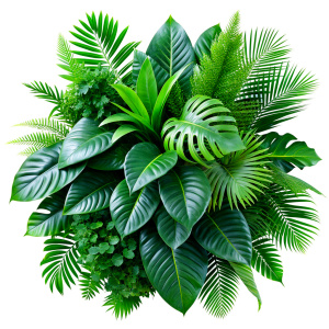 Tropical leaves foliage plant jungle bush floral arrangement nature backdrop isolated on white background, clipping path included.