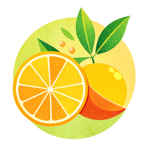 slice of lemon and orange