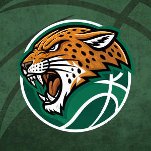 Aggressive jaguar's head logo for Jaguars Basketball Club. Textured green background, sharp teeth, orange-brown fur.
