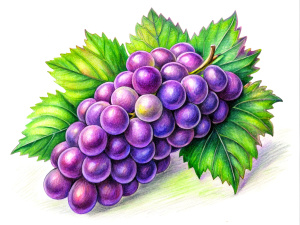 Grapes