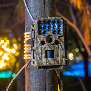 Moultrie M-40 16MP 80' FHD Video Infrared Game Camera, designed for wildlife photography in any terrain, has a rugged, camo-patterned casing and supports multi-lens infrared technology.