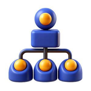 Hierarcy Organization on white background