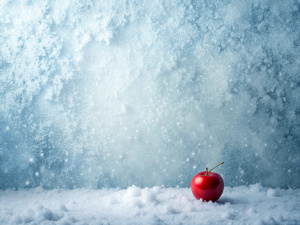 Snow white textured gradient background