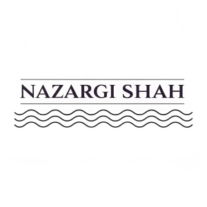 Naizargi Shah's logo, an industrial design portfolio. Bold, sleek font with a modern twist. Simple wavy line detail. Dark text on a pristine white background