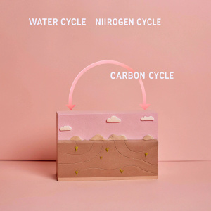 A vibrant, educational infographic in Spanish. Depicts the water cycle, nitrogen cycle, and carbon cycle in an engaging, colorful style.