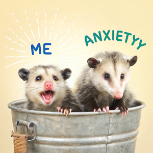 Opossum "Me: tries to relax Anxiety: pops out of trash can"