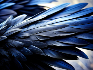 black raven feathers