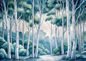 white eucalyptus trees forest